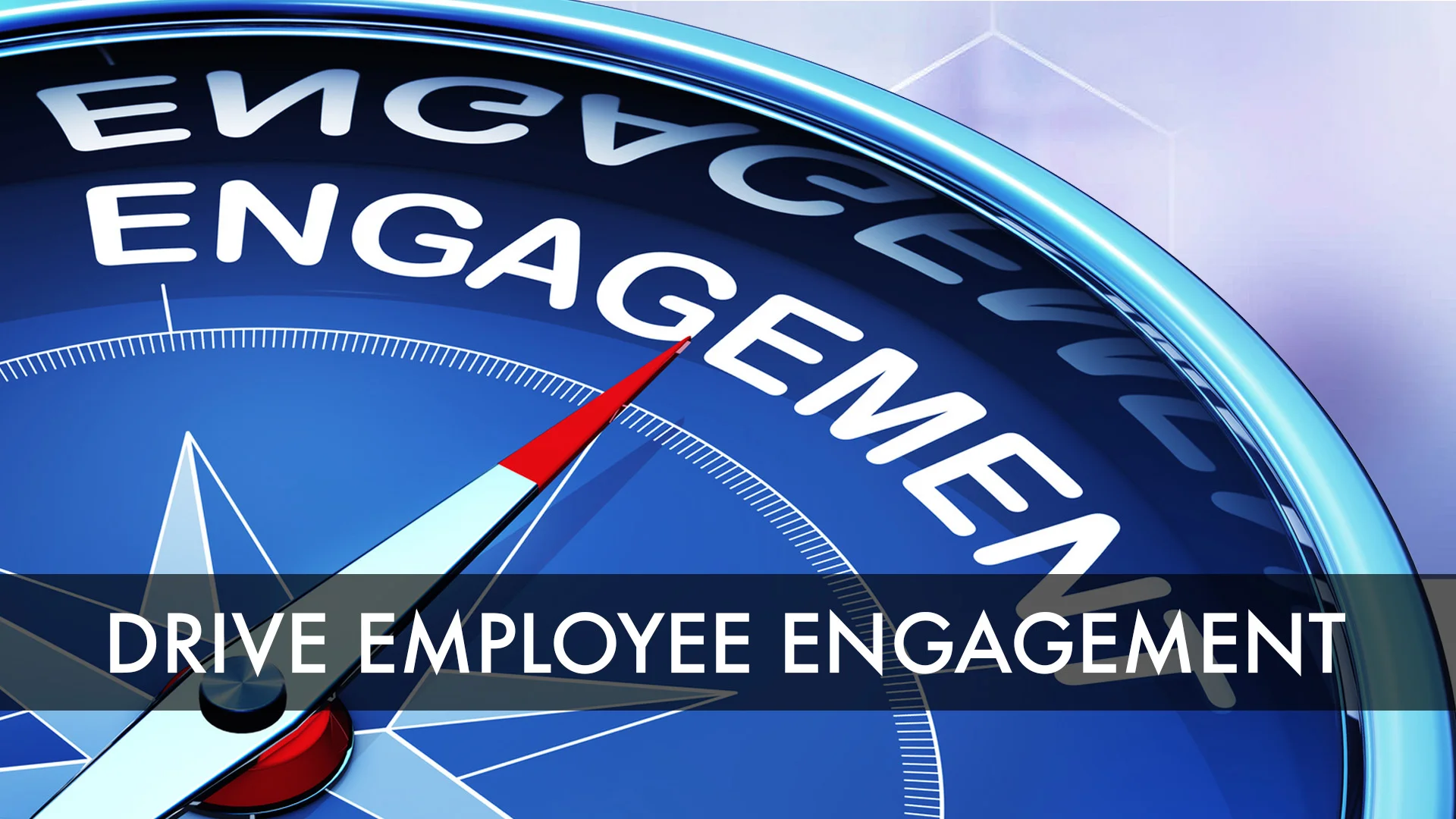 Employee Engagement - The Real Secret to Growth