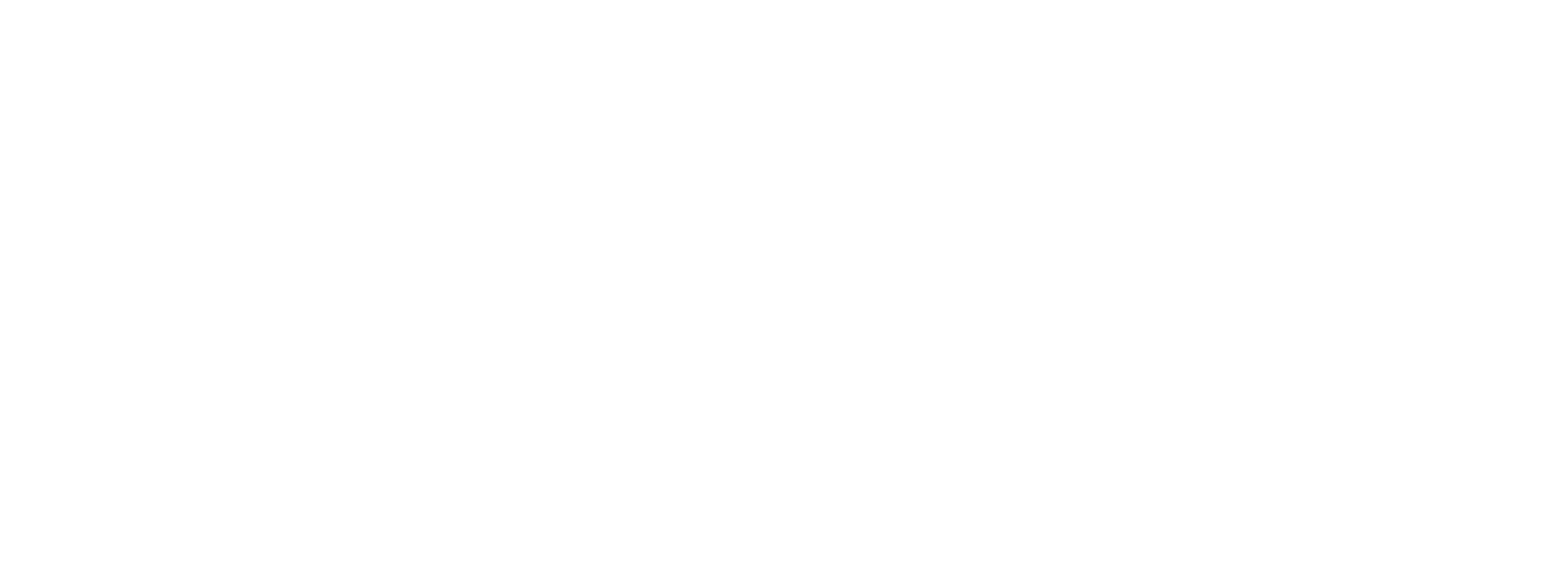 Leo Fitness