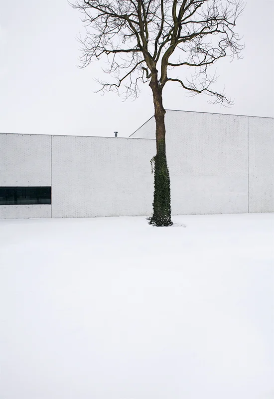 _MG_8645.jpg