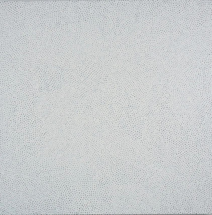 Kusama infinity net PLAAO.jpeg