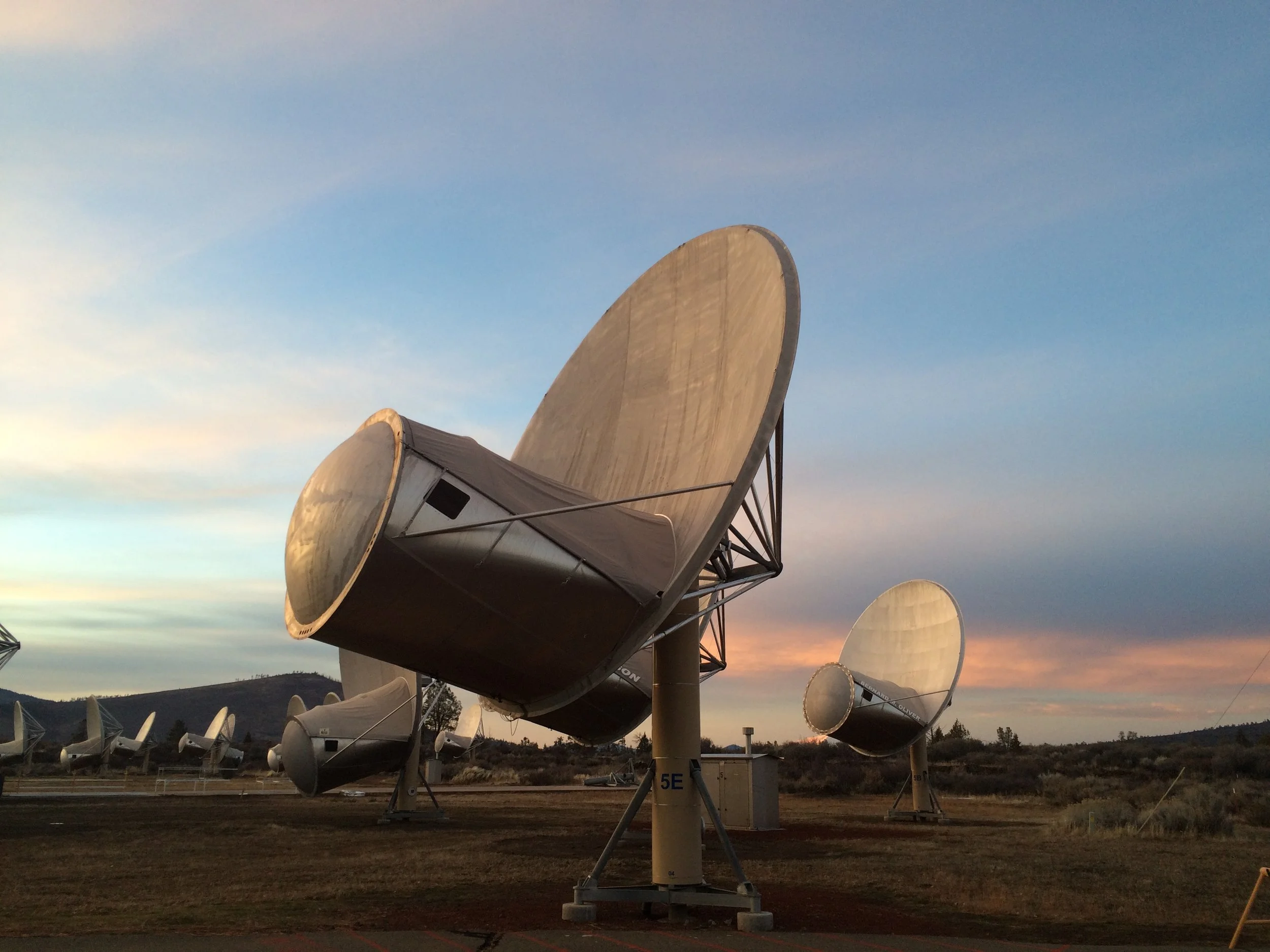 Interdisciplinary Critiques with Jen Bervin