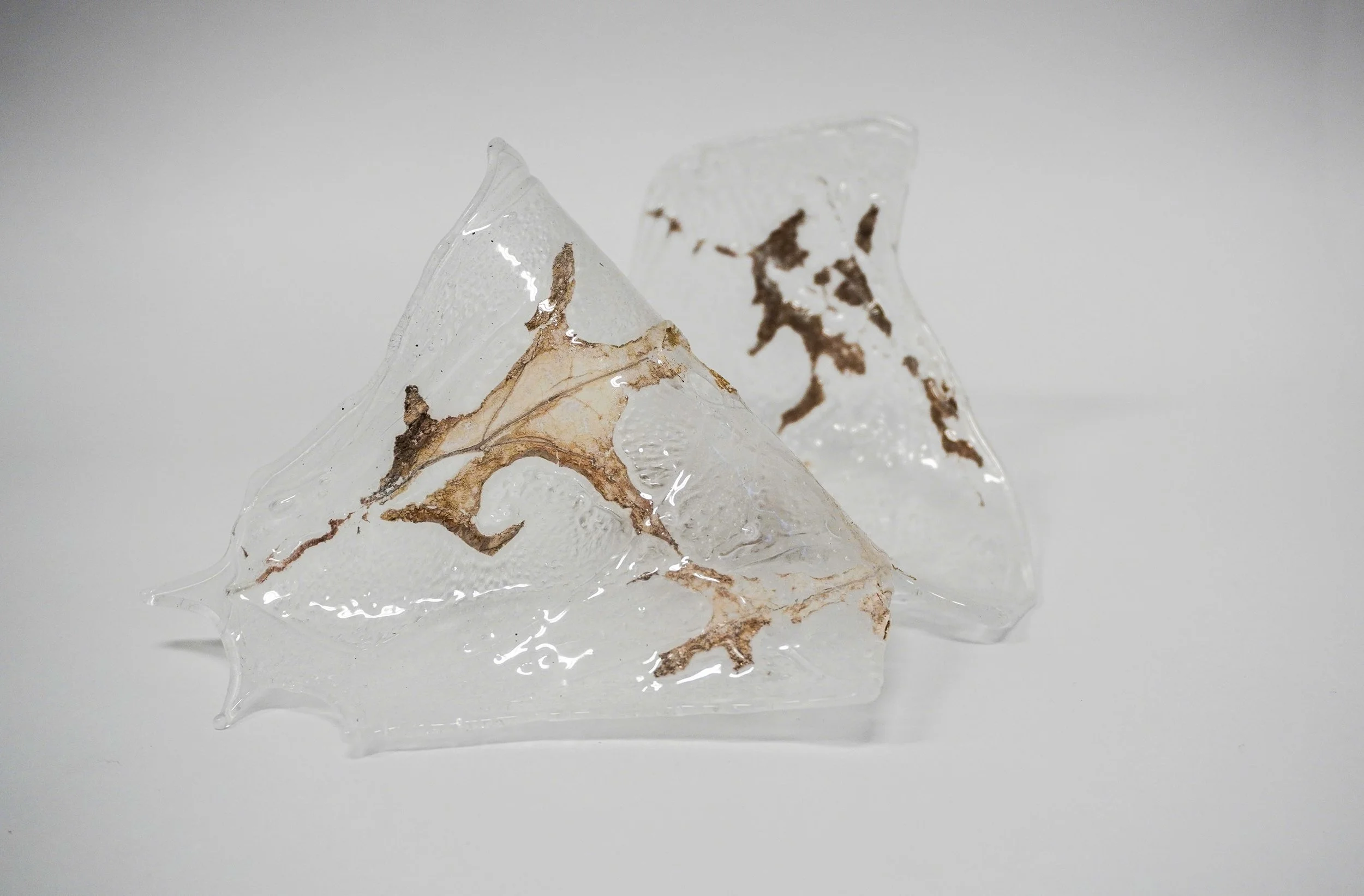 Abbey Sunde, MFA 2026