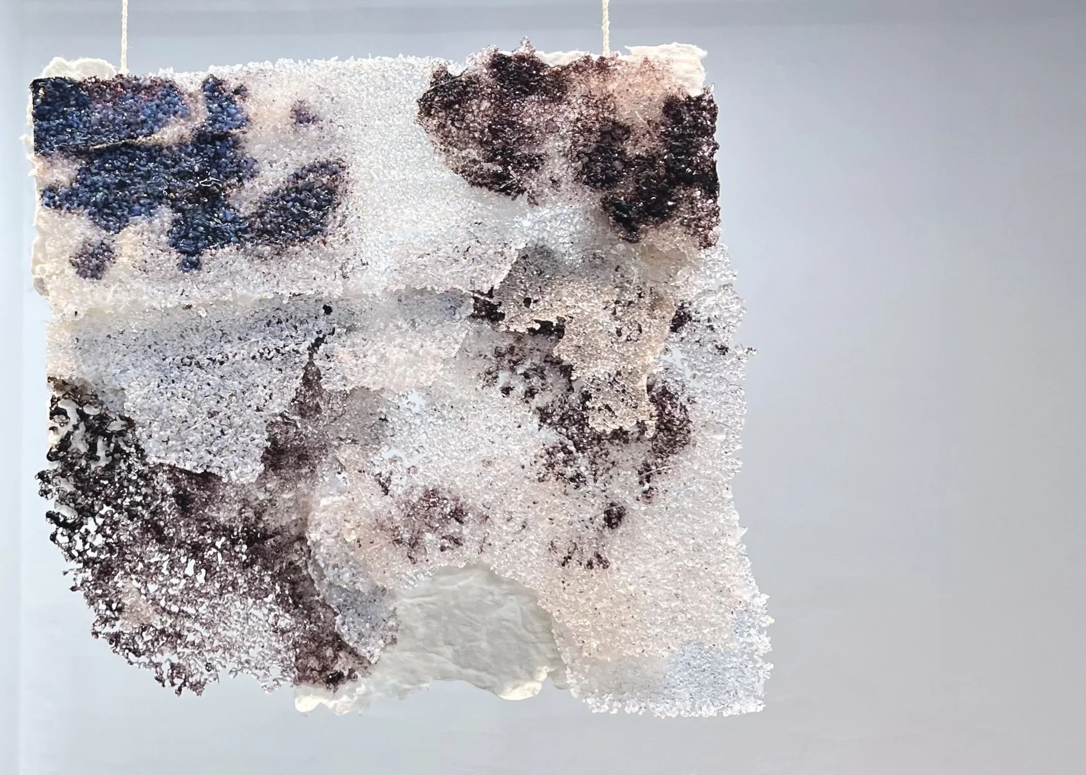 Josephine Truscott, Post-Bacc 2026