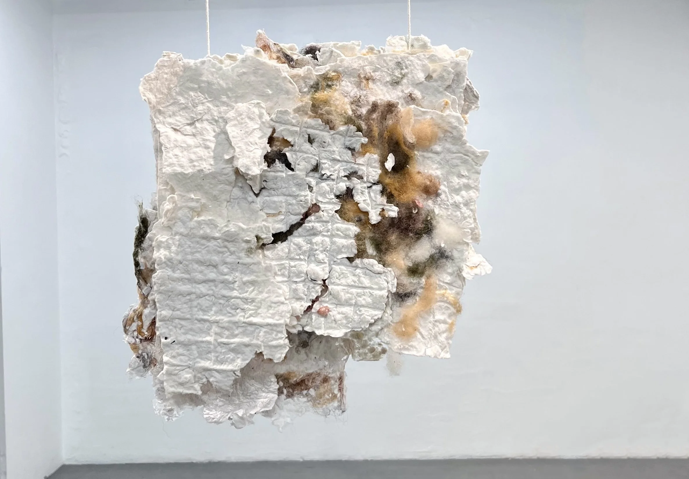 Josephine Truscott, Post-Bacc 2026