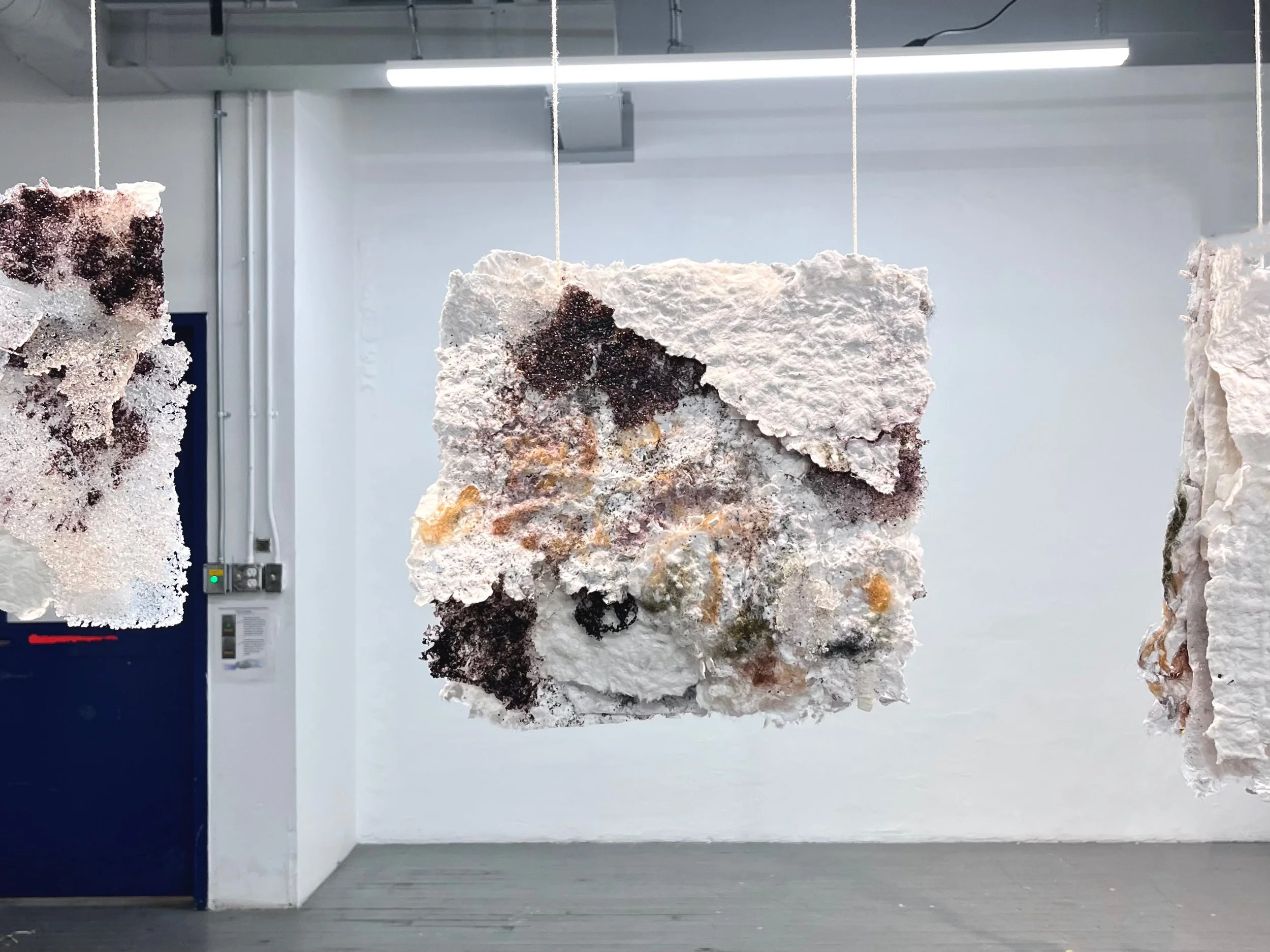 Josephine Truscott, Post-Bacc 2026