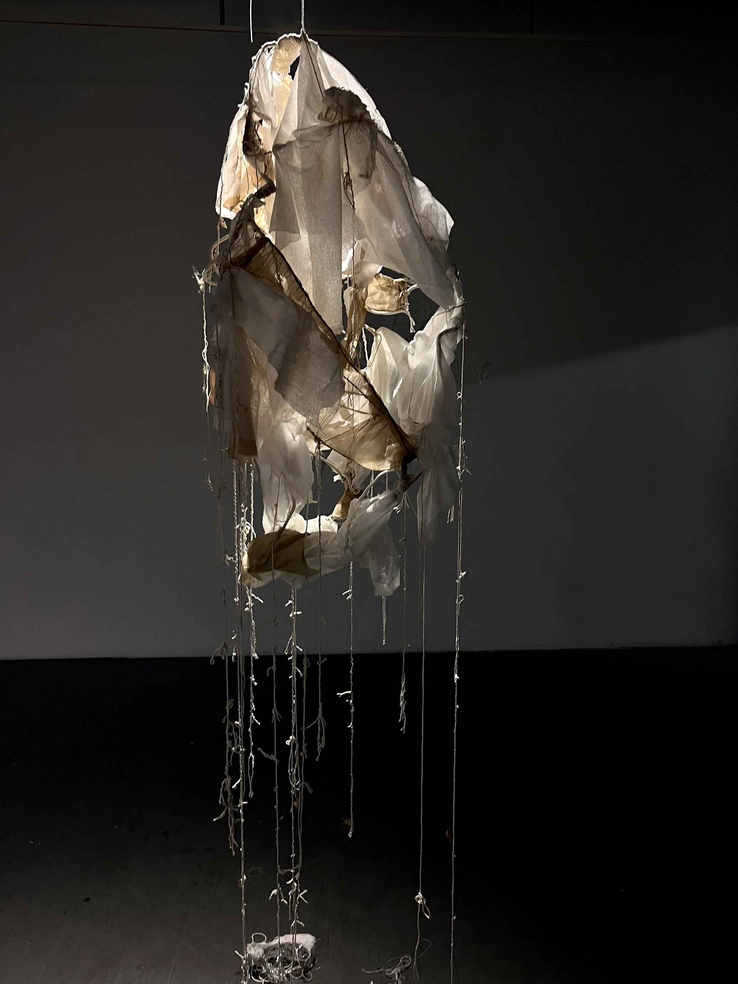 Josephine Truscott, Post-Bacc 2026