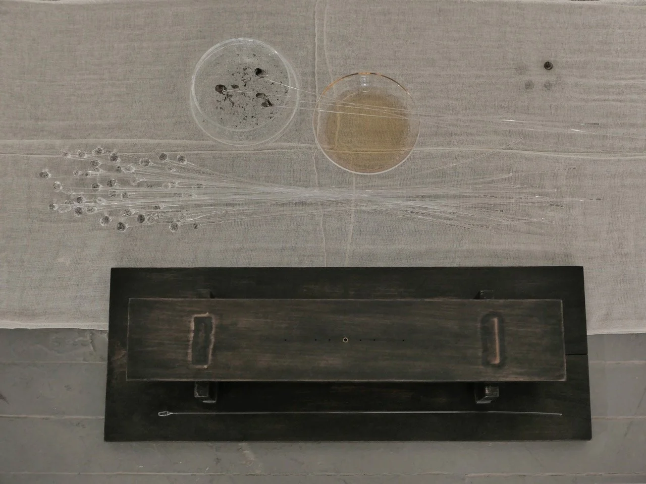 Minsik Joo, BFA 2026 (Copy)