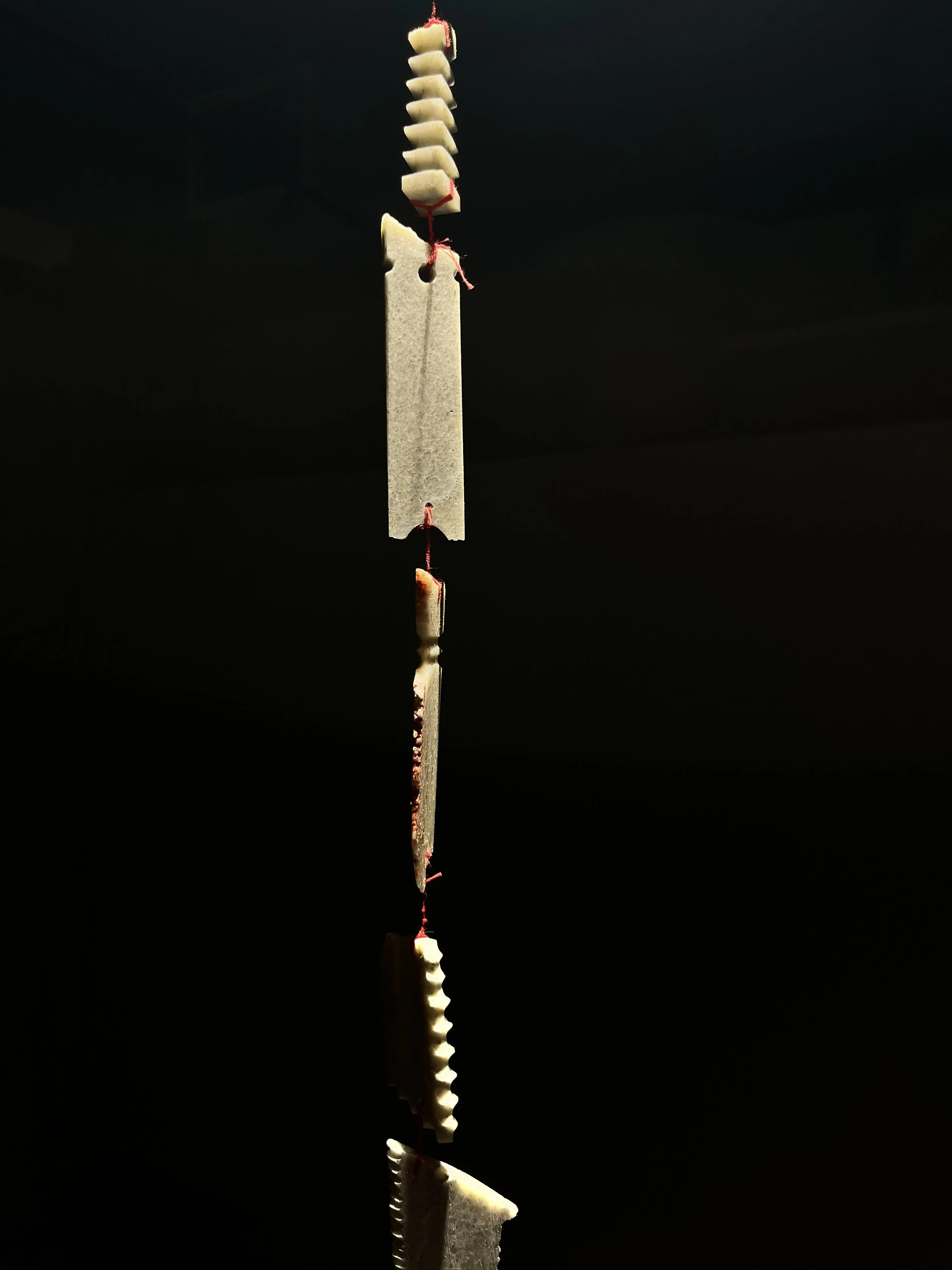 Peiran Li, BFA 2026 (Copy)