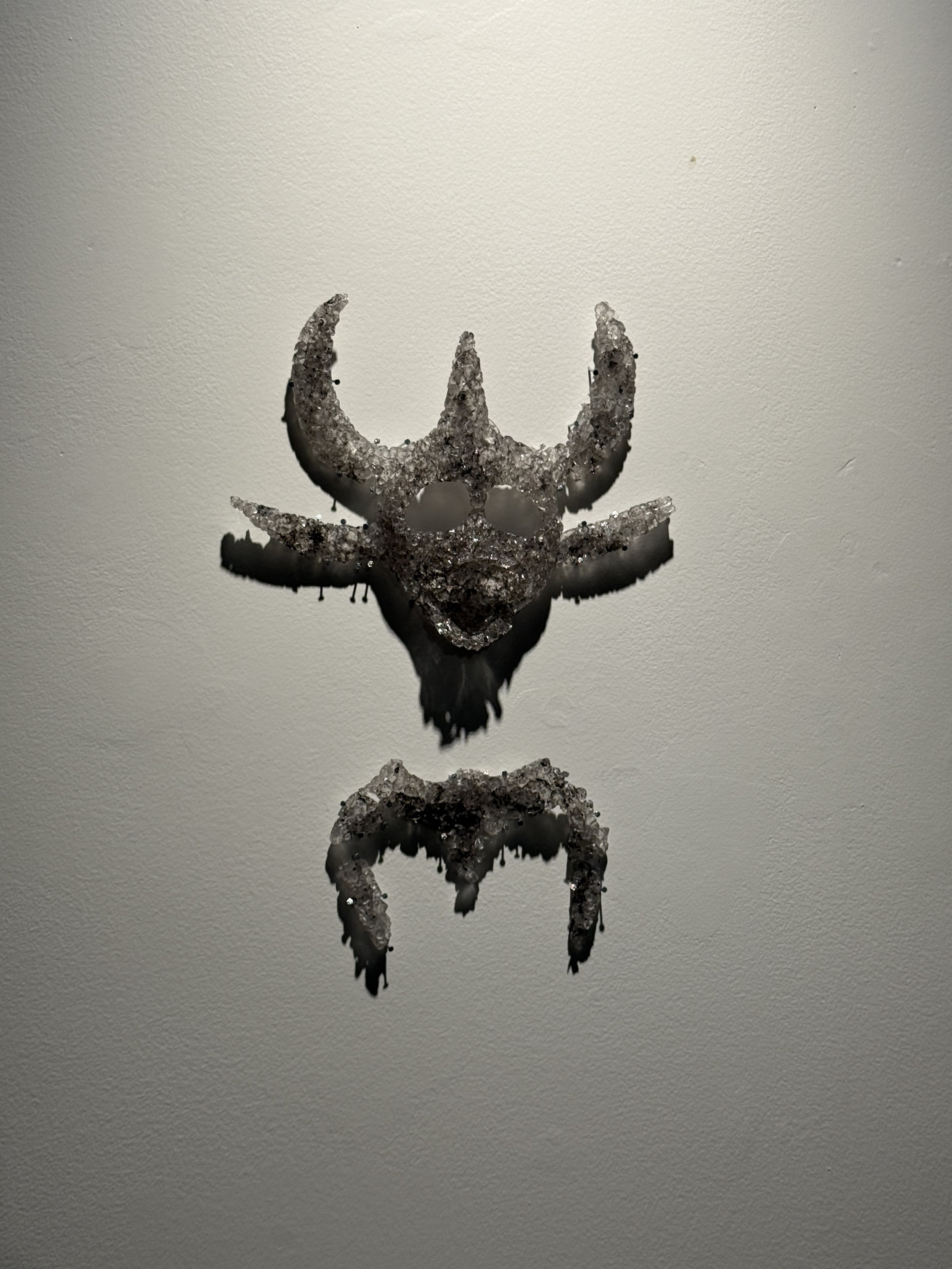 Cecilia Sánchez, BFA 2027