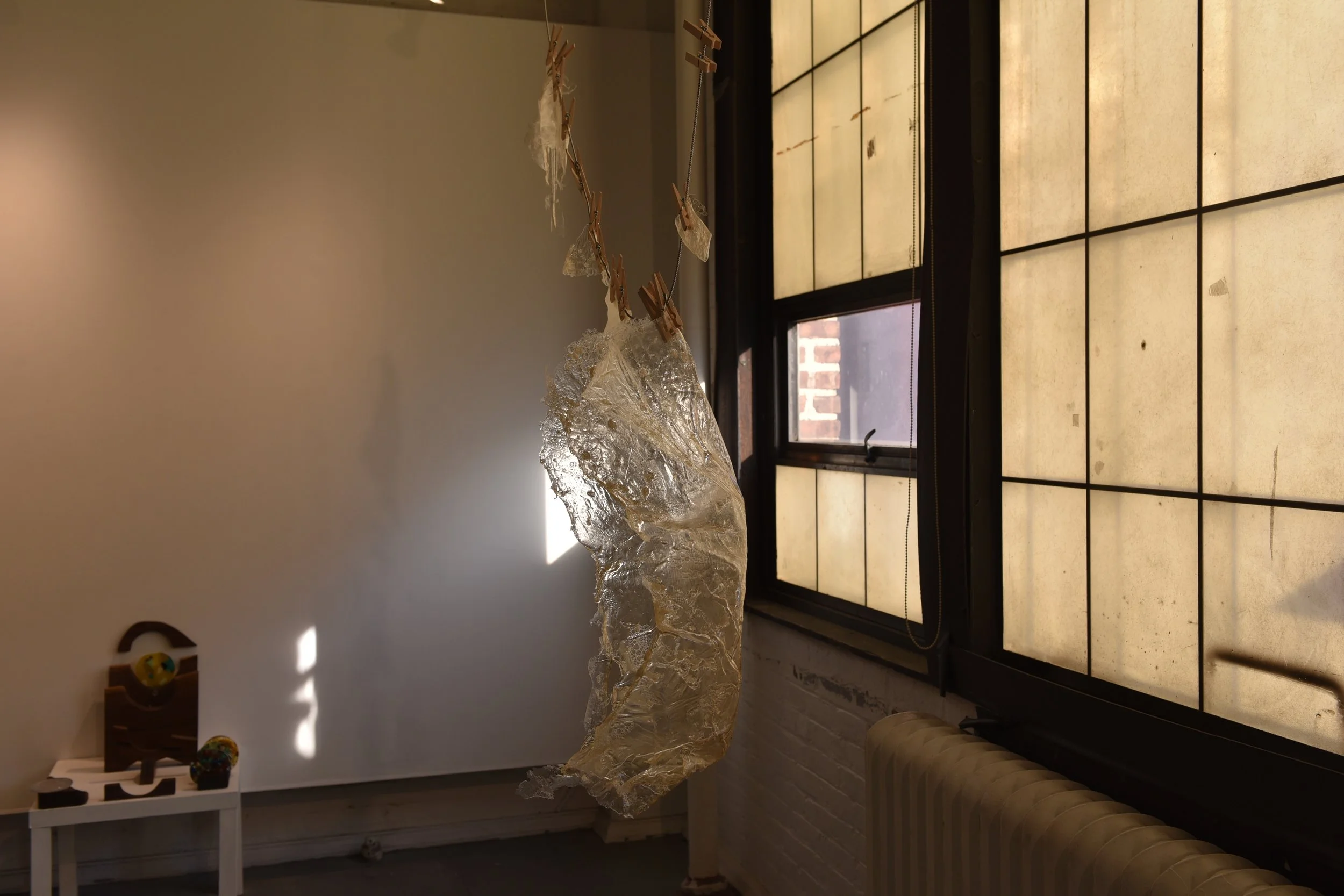 Cecilia Sánchez, BFA 2027