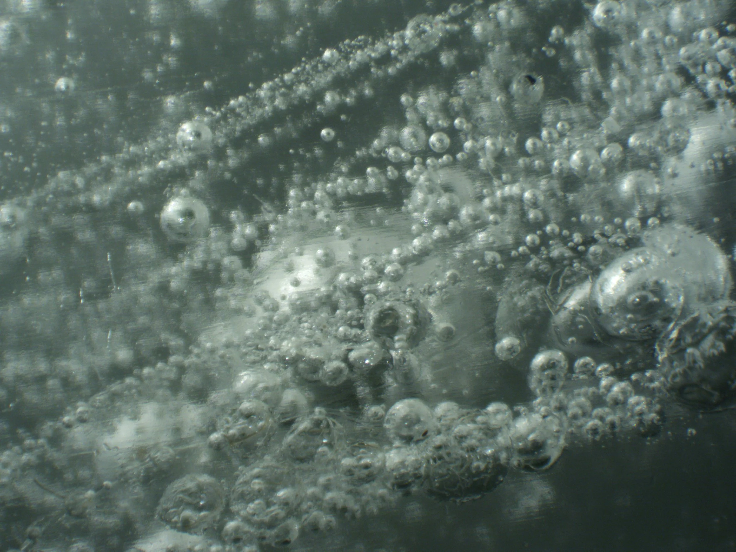 Cecilia Sánchez, BFA 2027