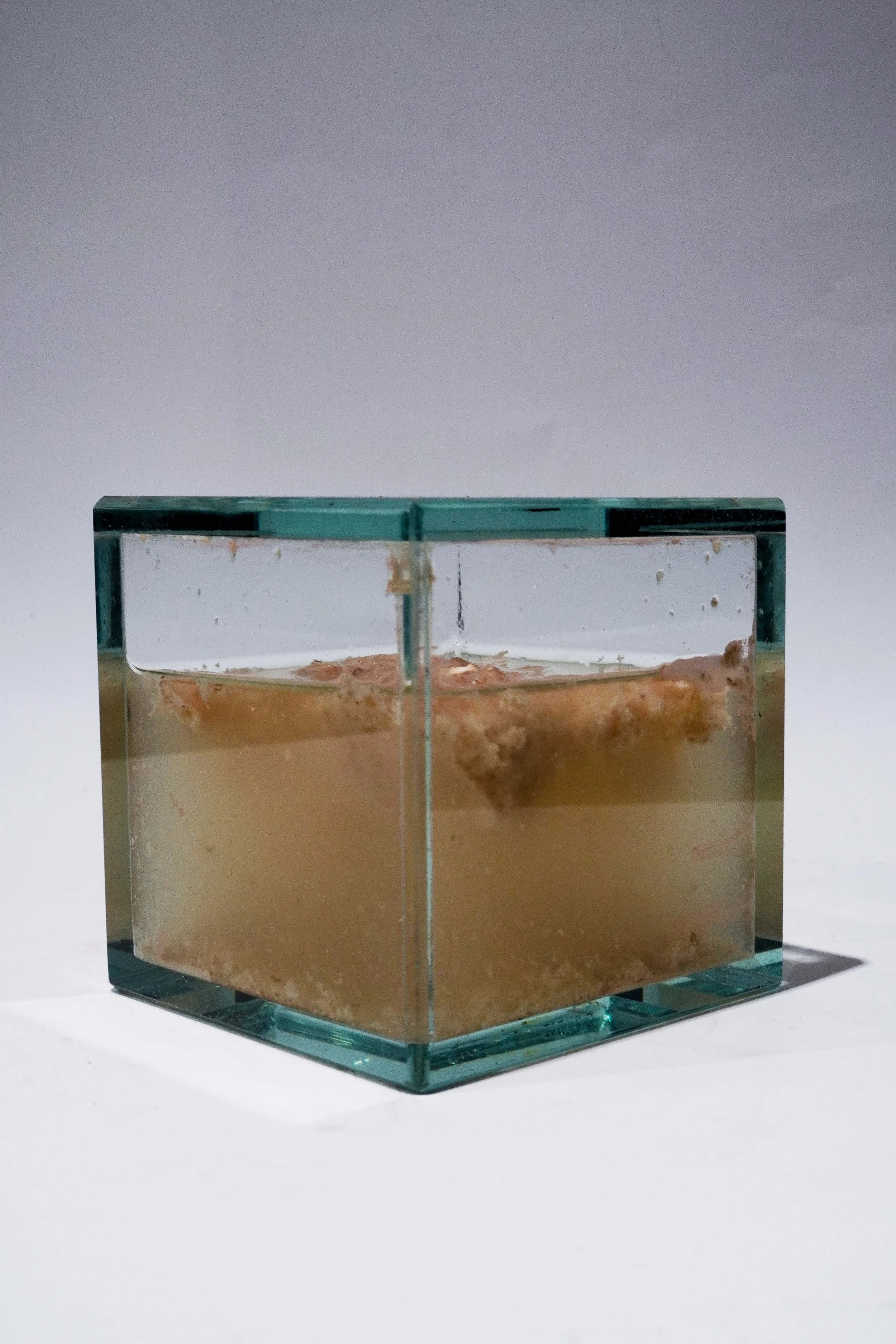 Jolin Zheng, BFA 2028