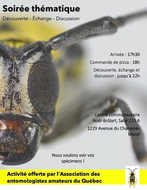 Insectes Québec — Accueil