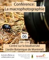 Insectes Québec — Accueil