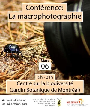 Insectes Québec — Accueil