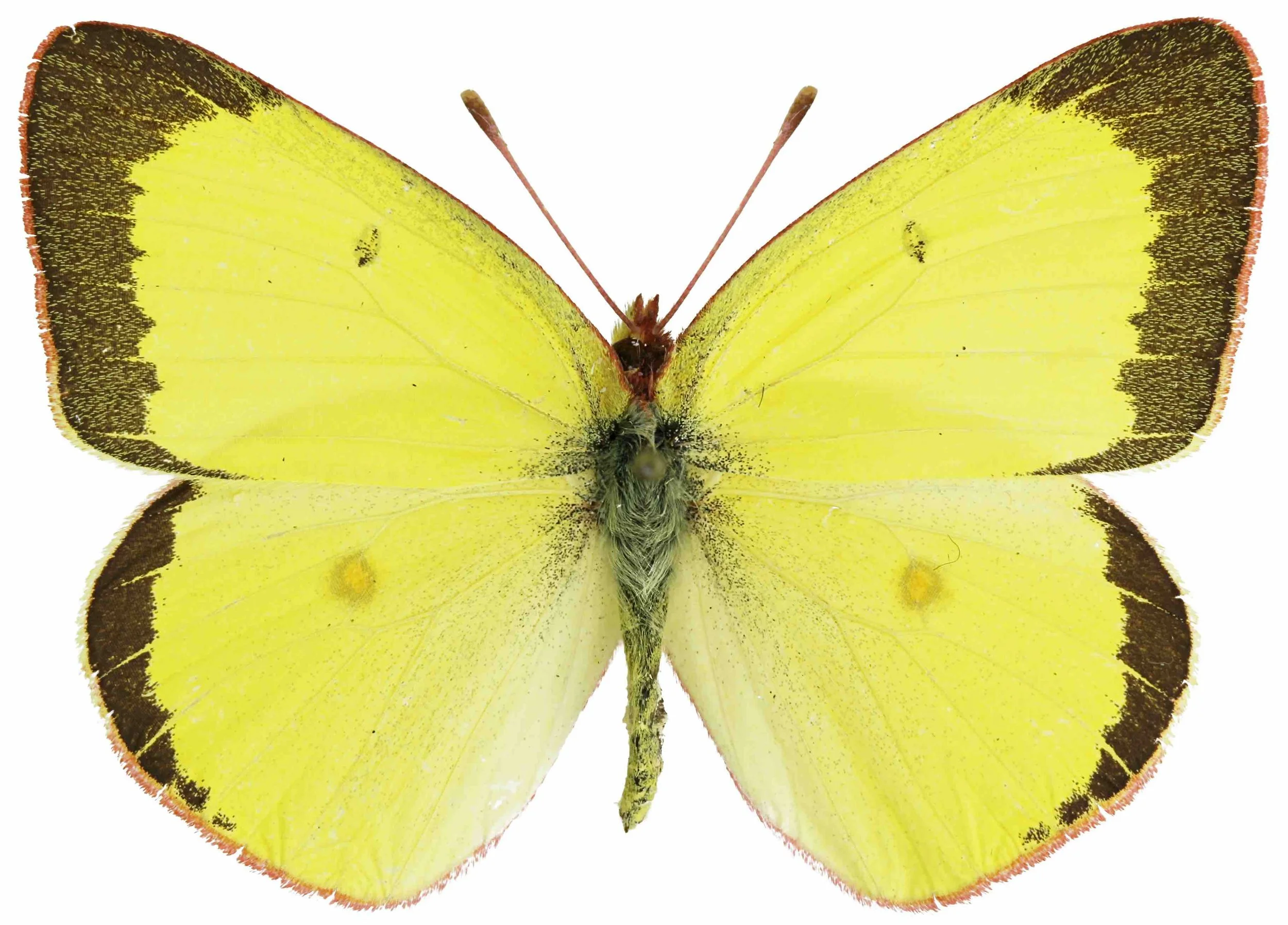 Chambre non étudiant (une personne)