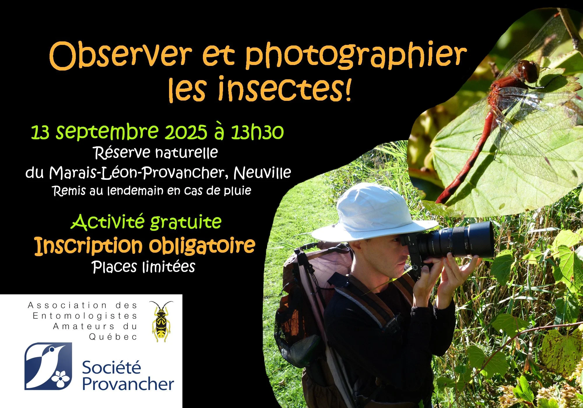 Observer et photographier les insectes!