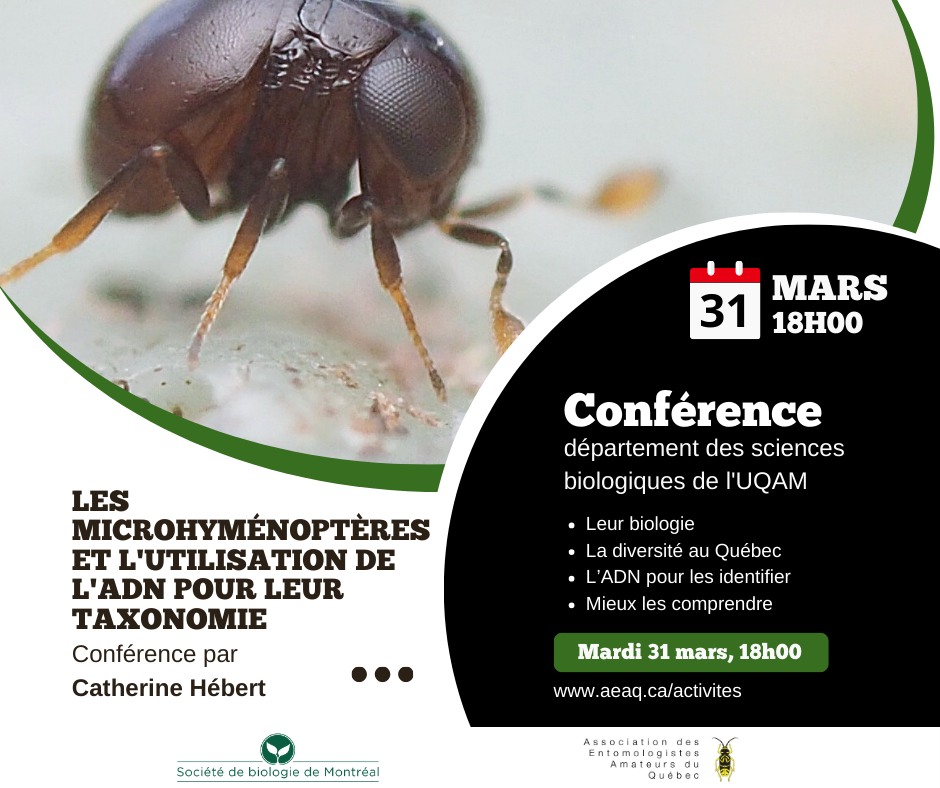 Les microhyménoptères et l'utilisation de l'ADN pour leur taxonomie