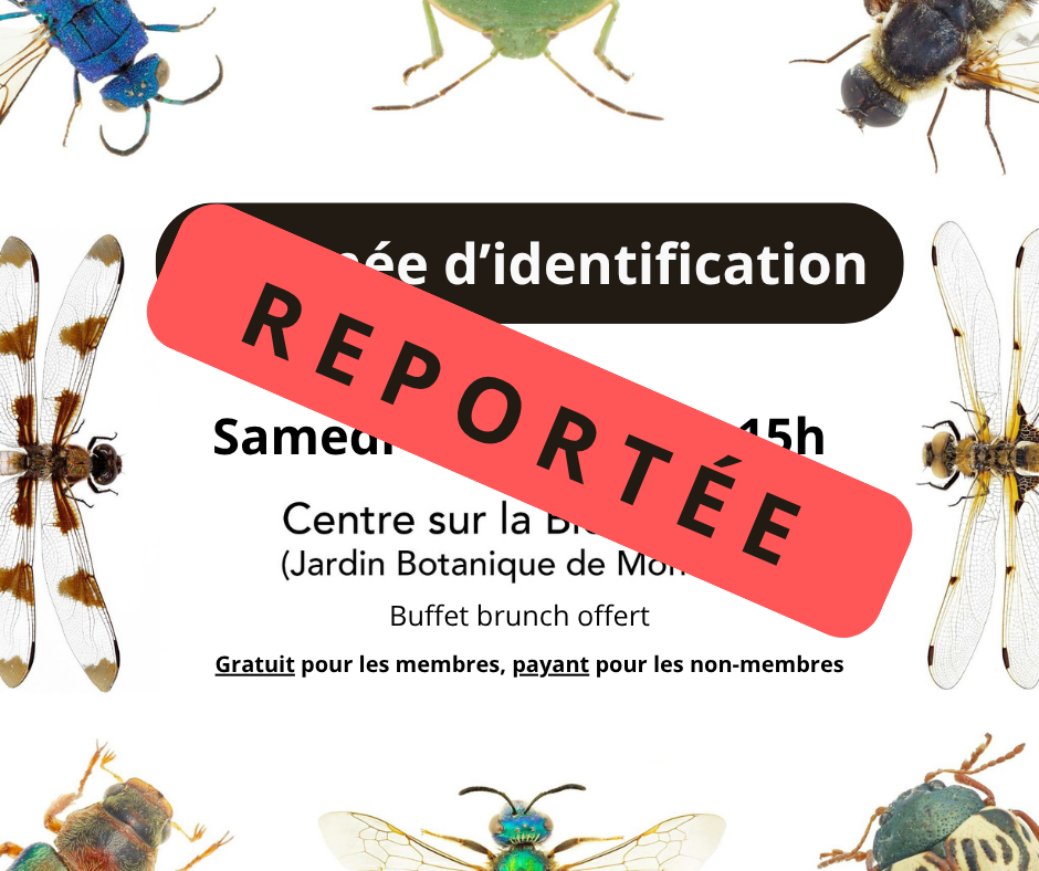 Journée d'identification