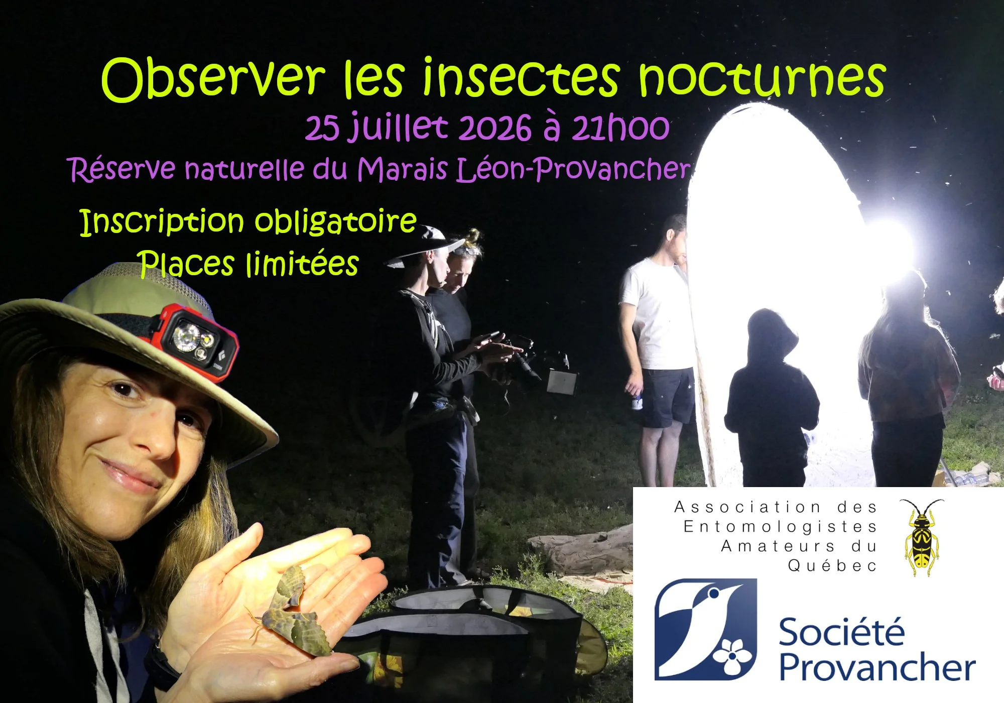 Observer les insectes nocturnes – 25 juillet à Neuville