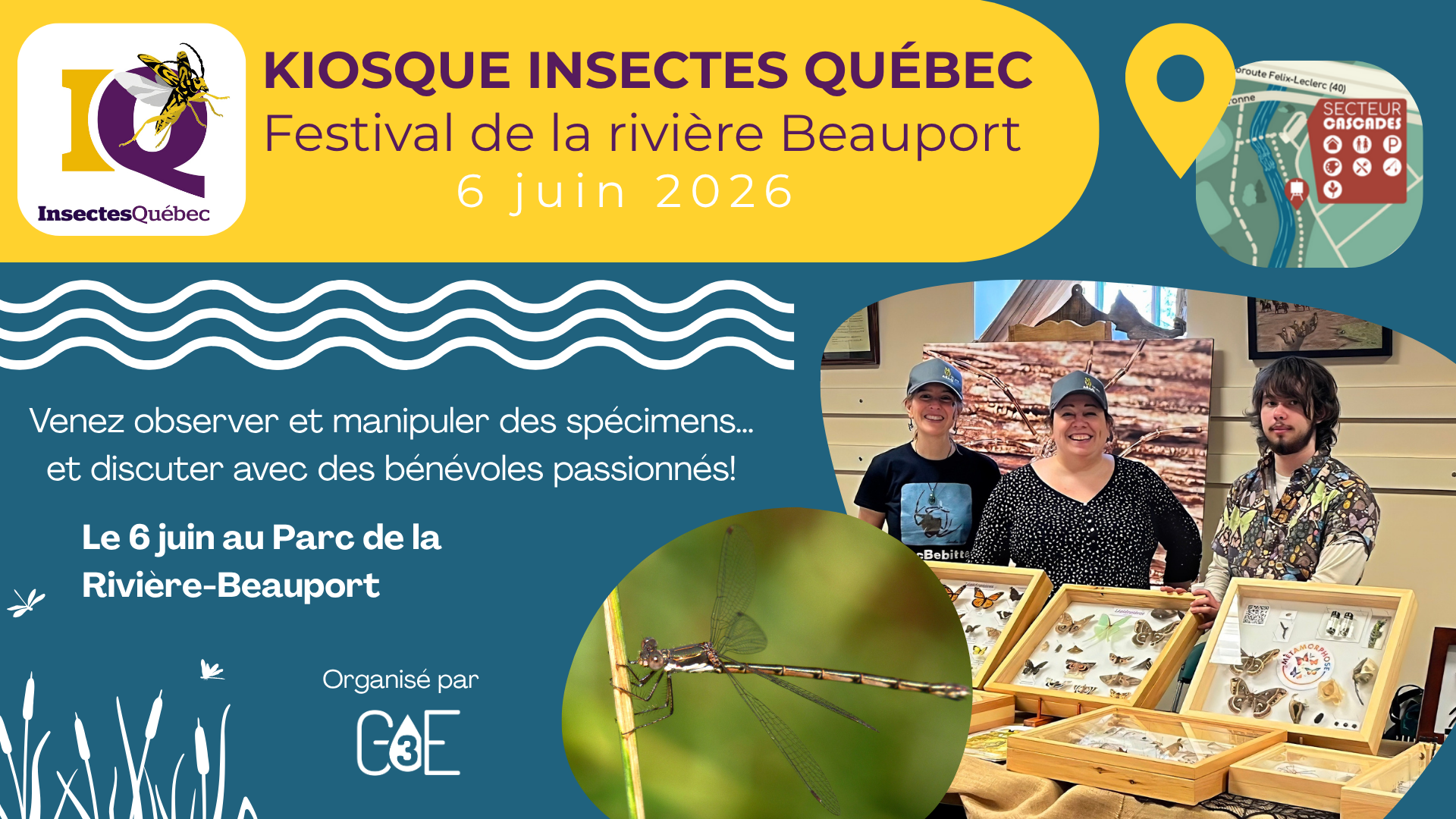 Kiosque d’Insectes Québec au Festival de la rivière Beauport!