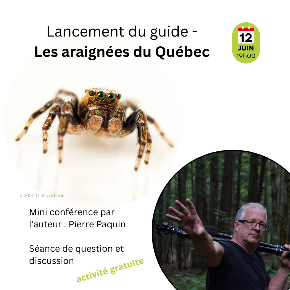 Lancement du guide - Les araignées du Québec
