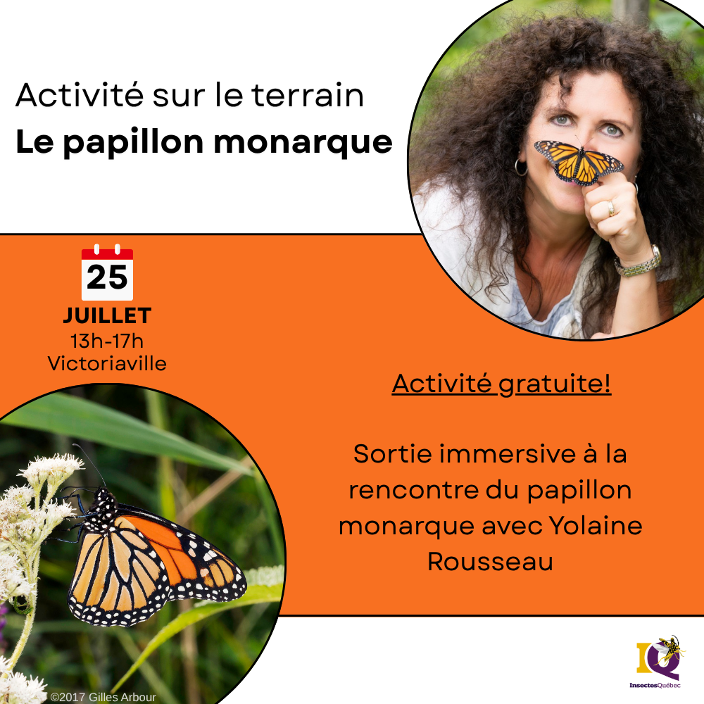 Activité sur le terrain - Le papillon monarque