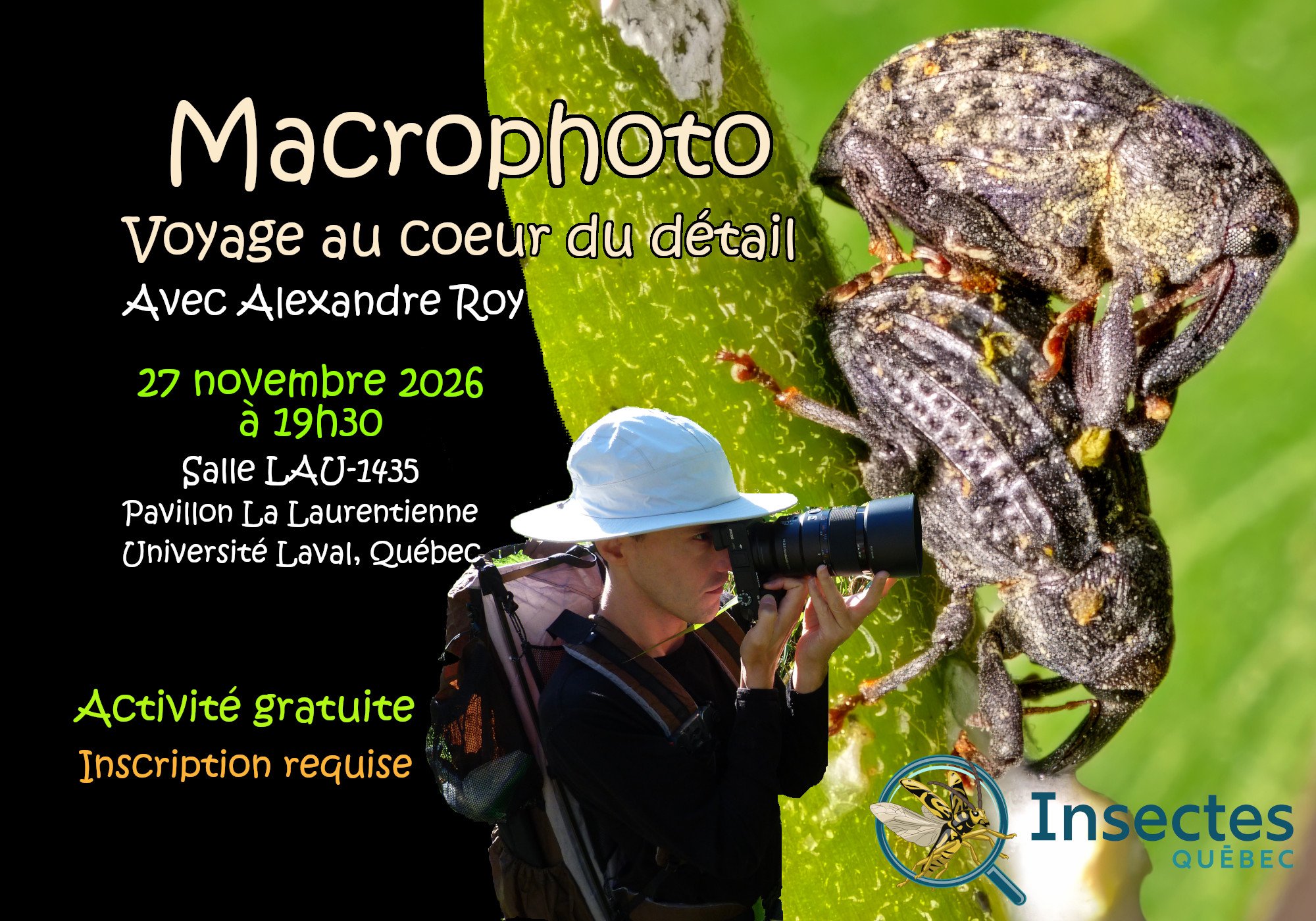 Voyage au cœur du détail - Immersion en macrophotographie entomologique en plein air