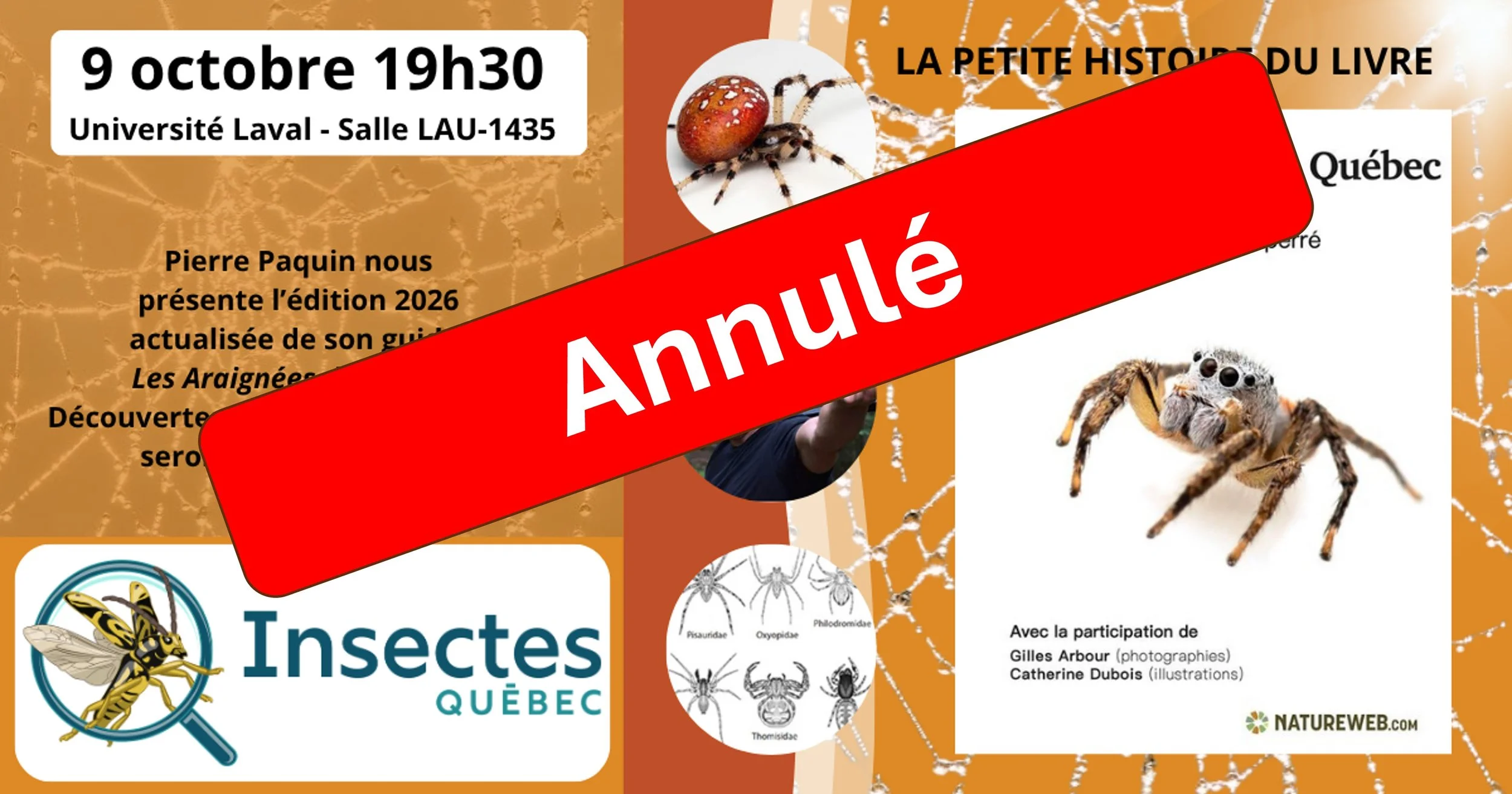 La petite histoire du guide des araignées du Québec