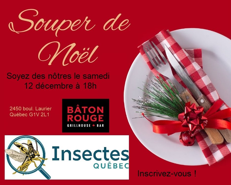 Souper de Noël 2026 - Section Québec