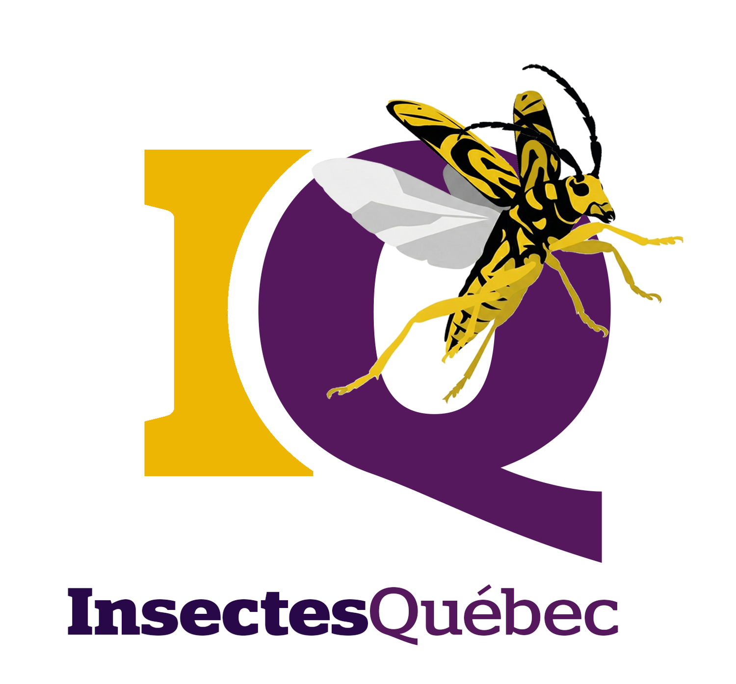 Insectes Québec