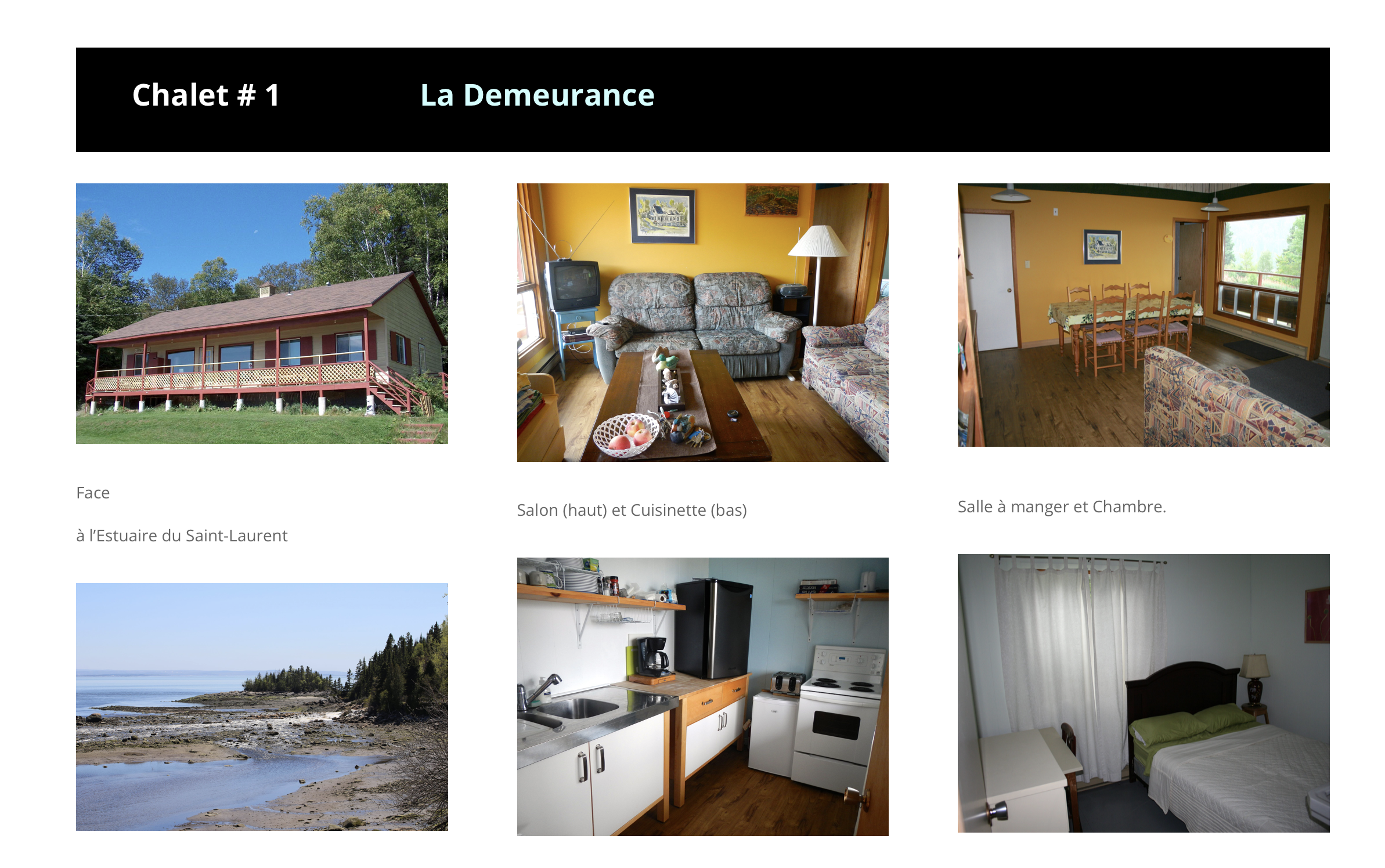 Demeurance.png (Copy)