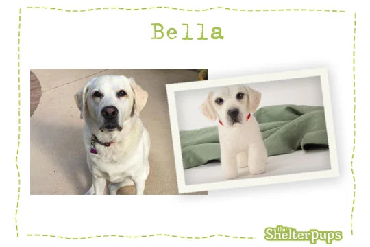Felt Recreation of your pup!- $175