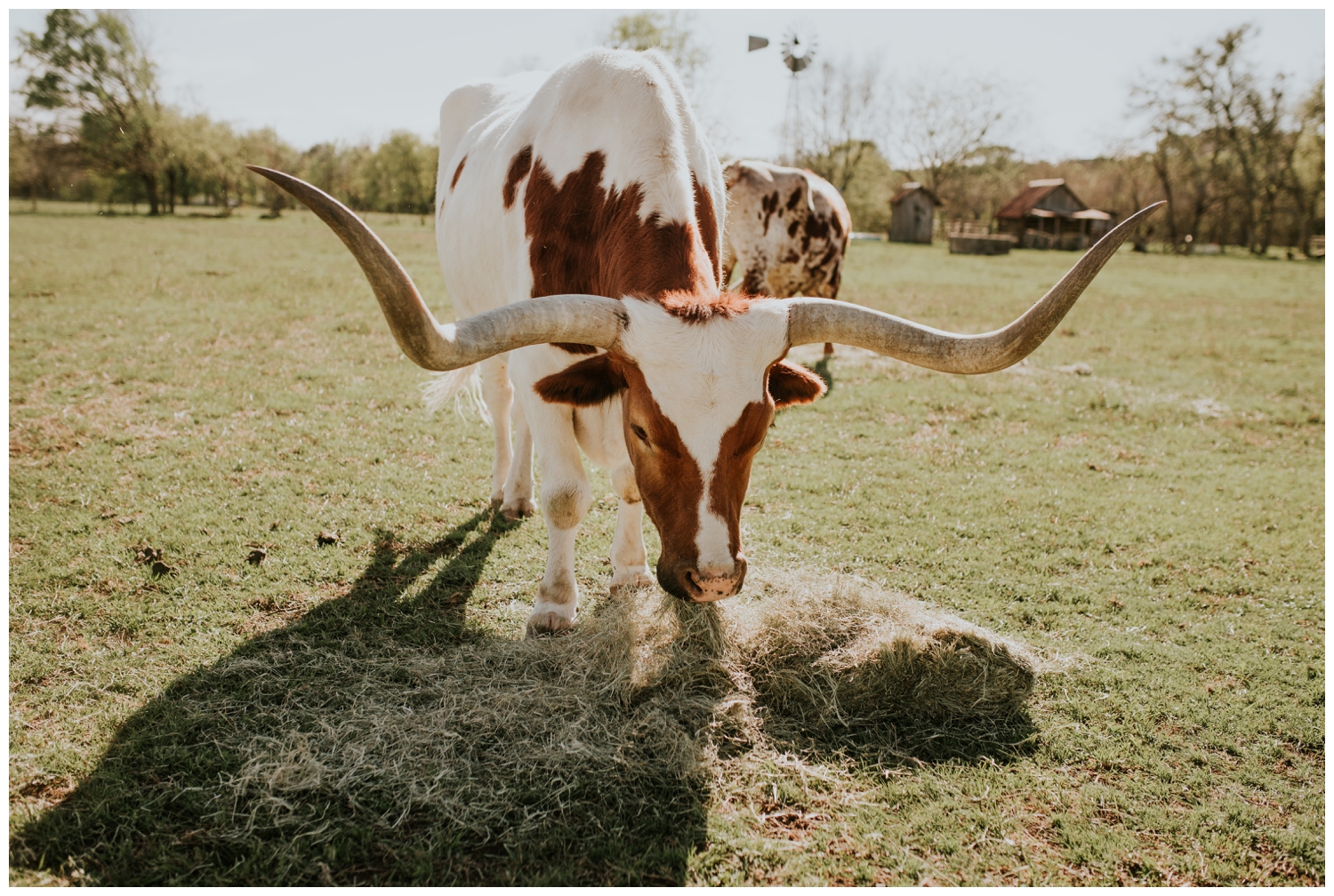 Sarah+Michael, Gruene Estate Wedding, San Antonio, Contista Productions Wedding Photography_0004.jpg