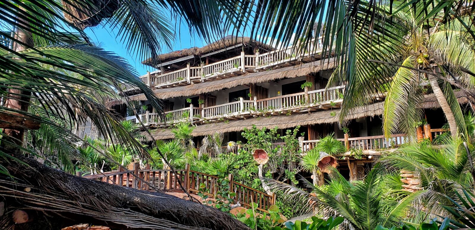 WhatsApp Image 2020-10-15 at 8.57.21 AM.jpeg