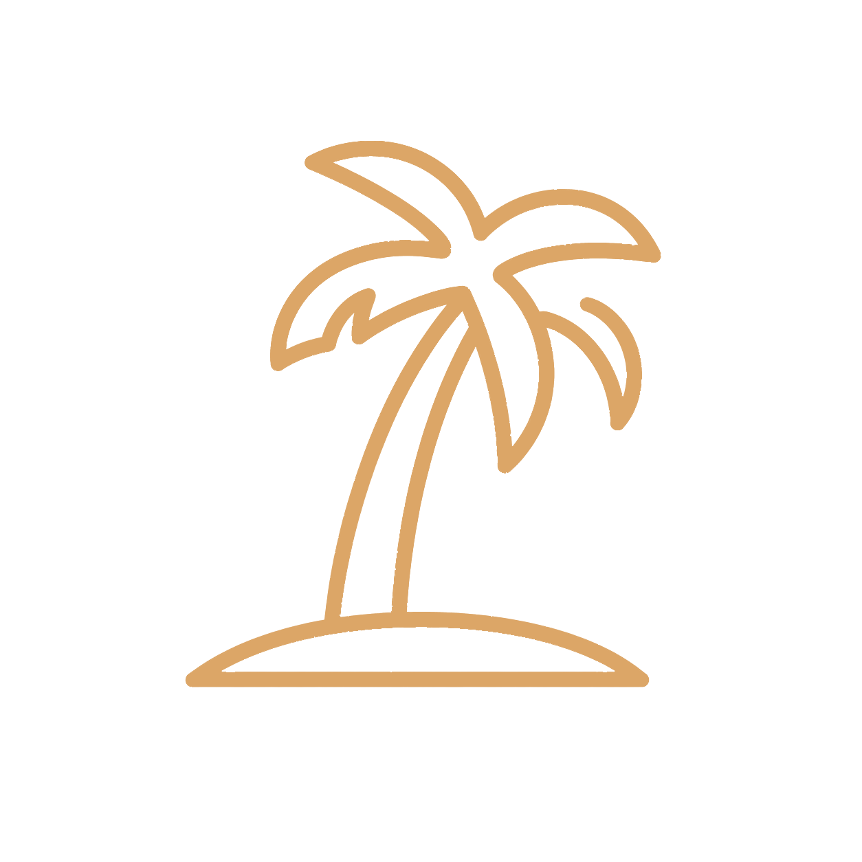 palm.png