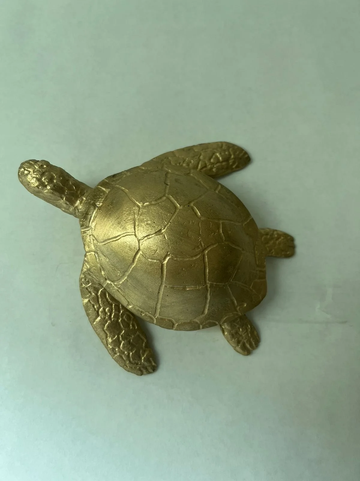 WhatsApp Image 2023-05-27 at 4.10.19 PM.jpeg