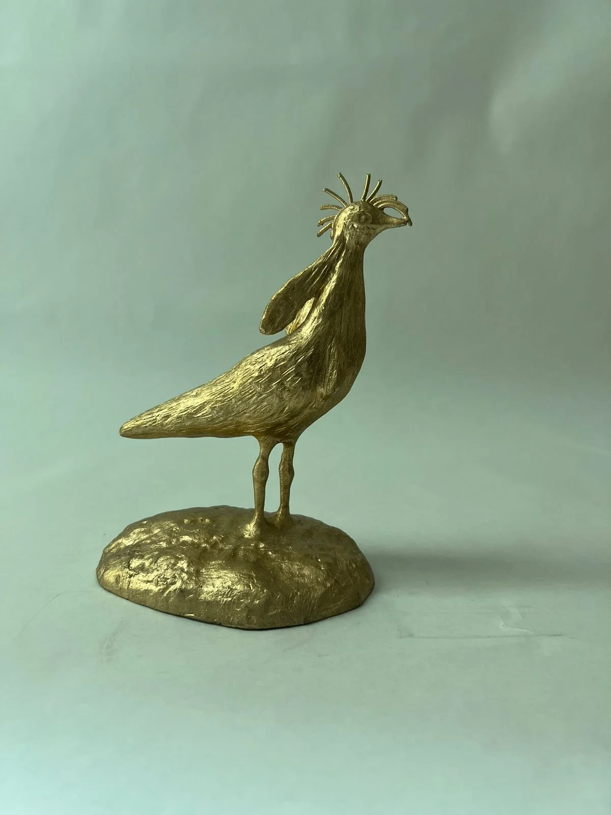 WhatsApp Image 2023-05-27 at 4.10.20 PM.jpeg