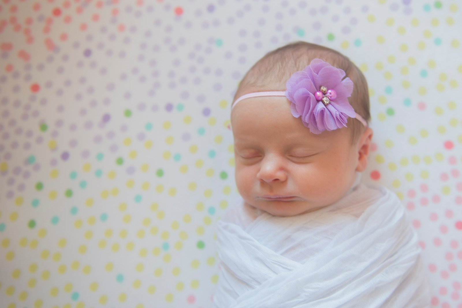 Wedding &amp; Family Photography Maryland
