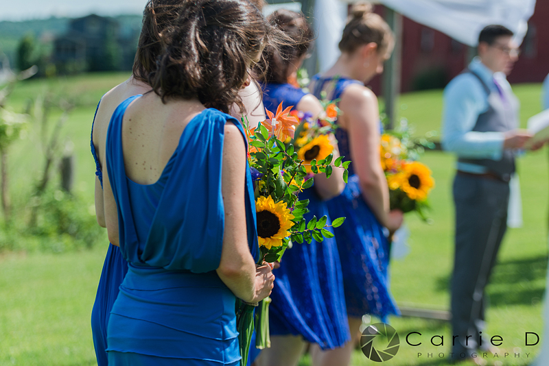 Carrie D Photography 2018 | Wedding & Family Photography Maryland