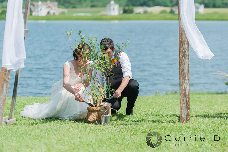 Carrie D Photography 2018 | Wedding &amp; Family Photography Maryland