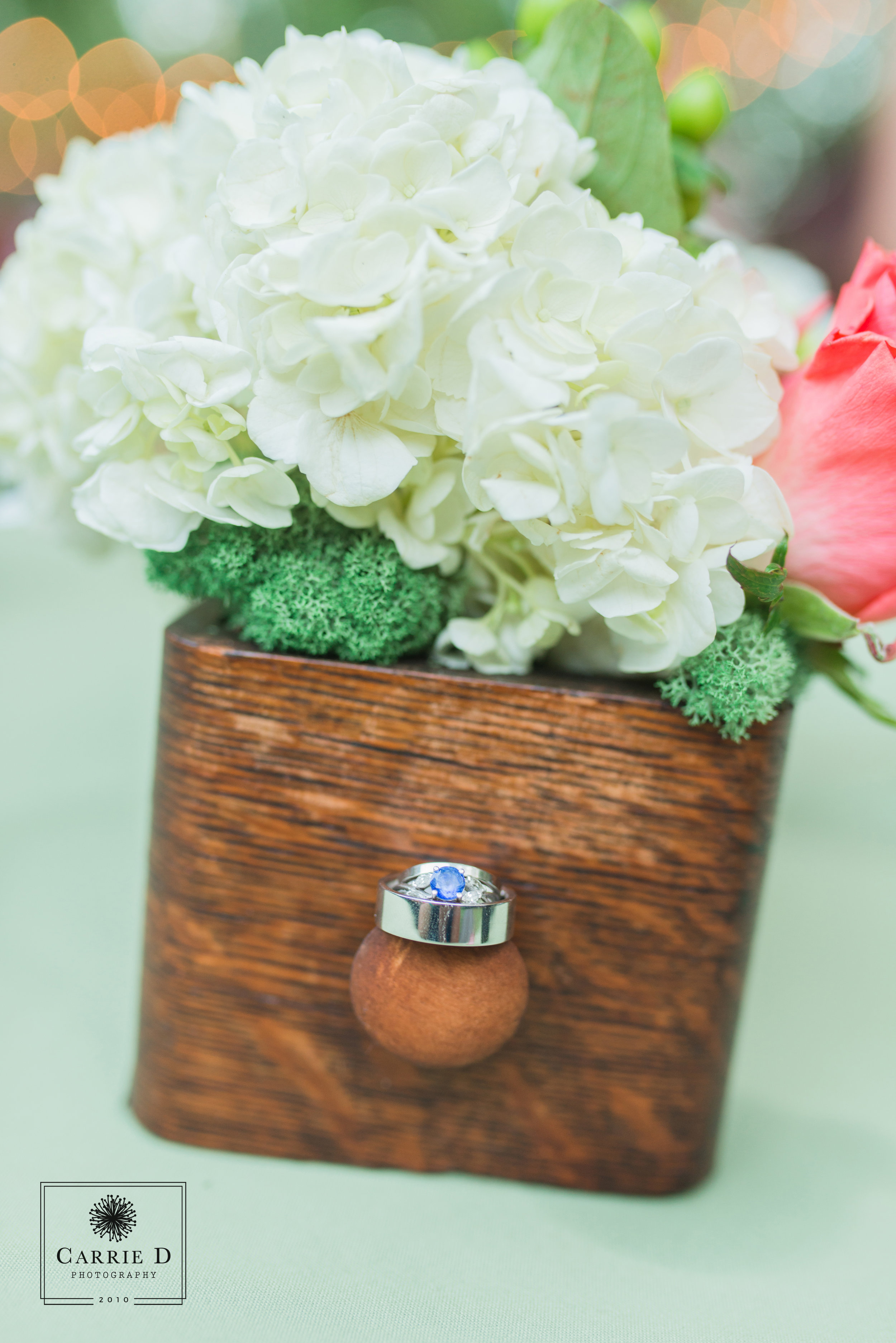 Carrie D Photography 2018 | Wedding & Family Photography Maryland