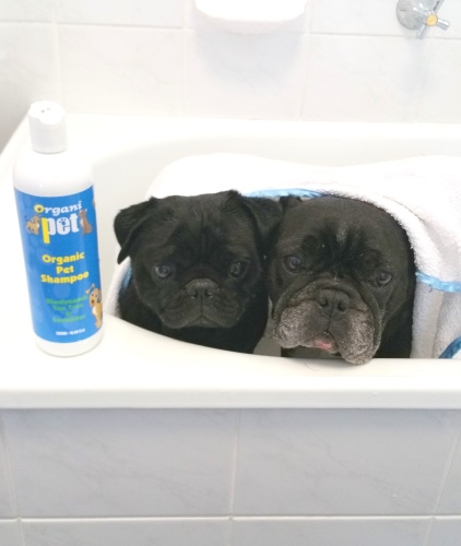 Organic doggy bath.jpg