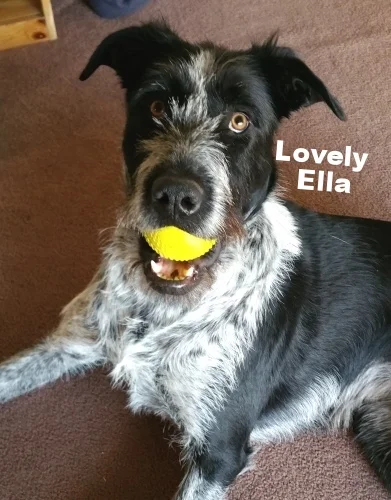 Ella has a ball.jpg