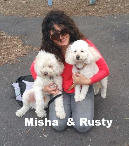 Walkies with Misha and Rusty.jpg