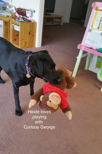 Heide and curious george.jpg