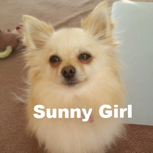 Sunny.jpg