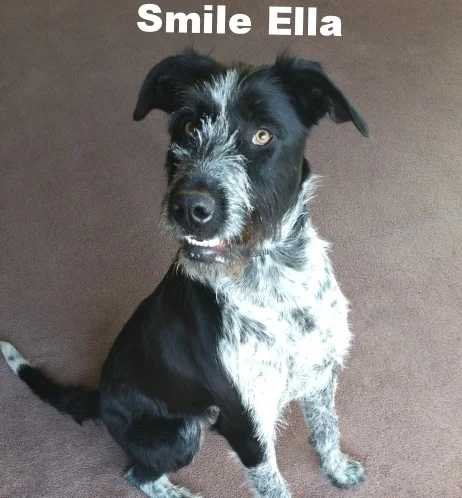 Ella smiles.jpg