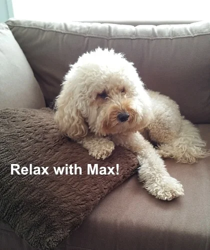 Relax with Max.jpg