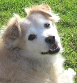 Read What Our Happy Customers Have To Say 